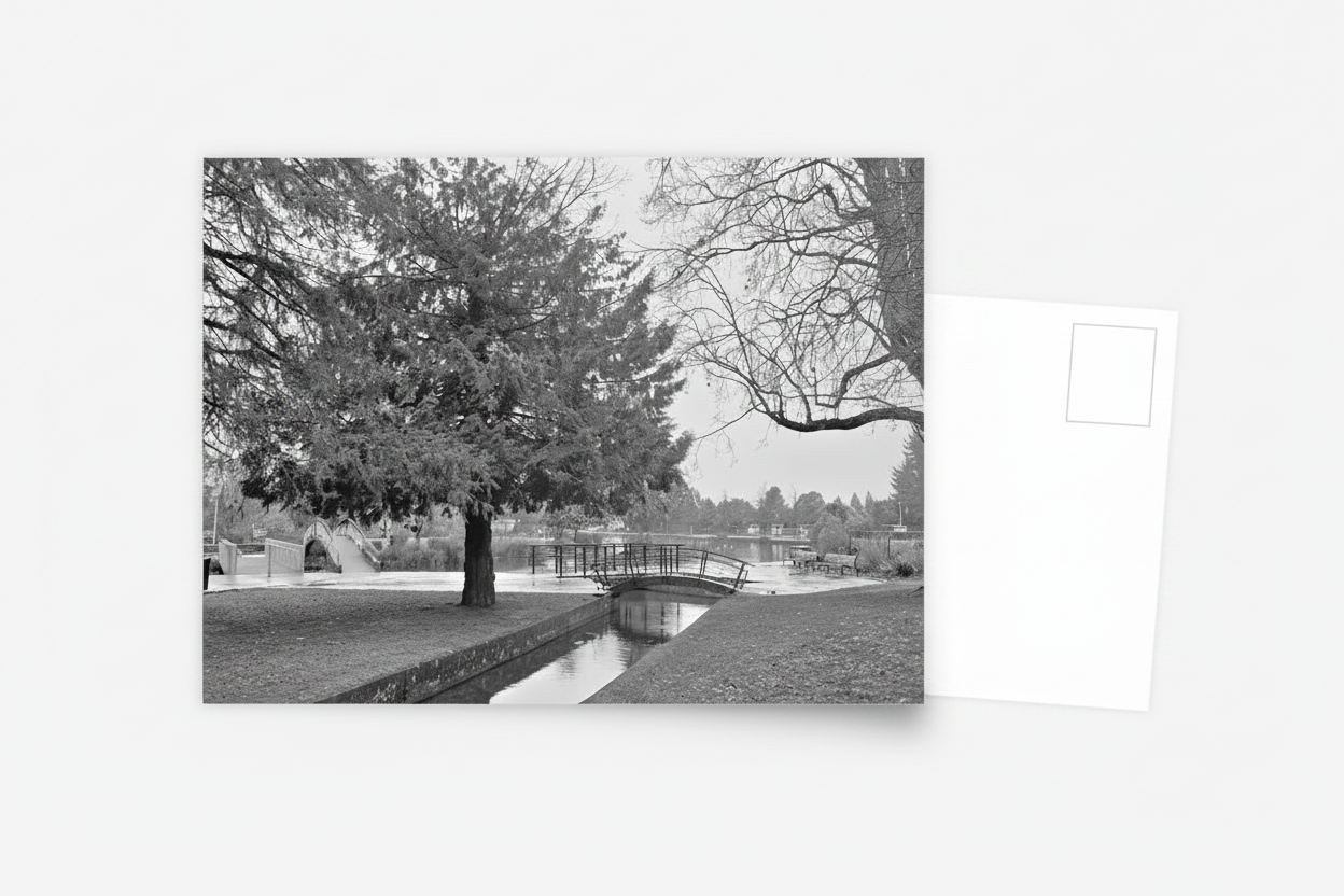 Park Canal Postcard