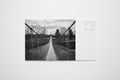 Suspension Bridge Postcard